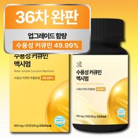 [4개월분] 강황 수용성 커큐민 식약청 HACCP 인증 (대용량), 120정, 1개 - 커큐민